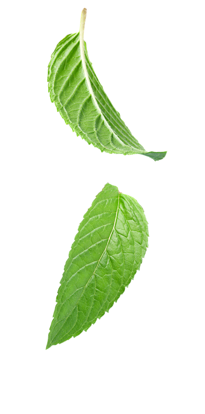 mint